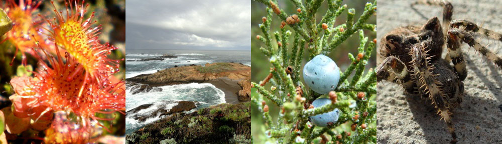 Shit You Didn't Know About Biology