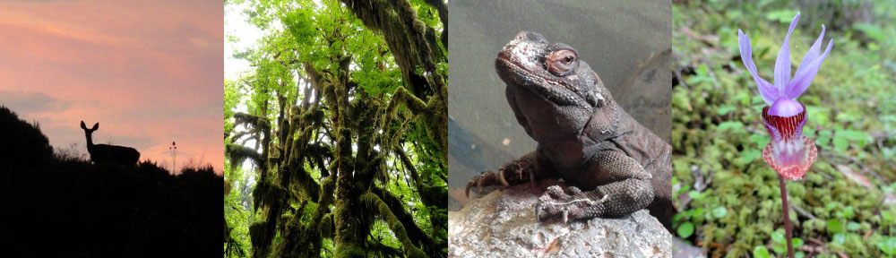 Shit You Didn't Know About Biology