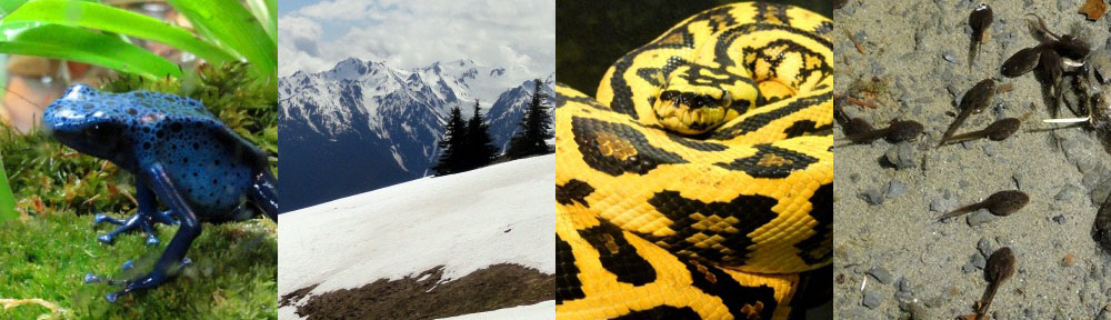 Shit You Didn't Know About Biology