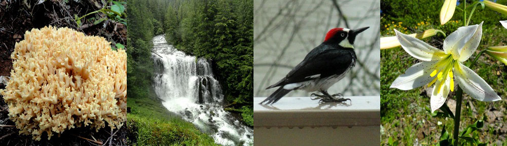 Shit You Didn't Know About Biology