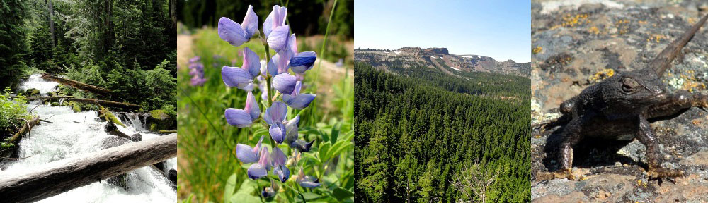 Shit You Didn't Know About Biology