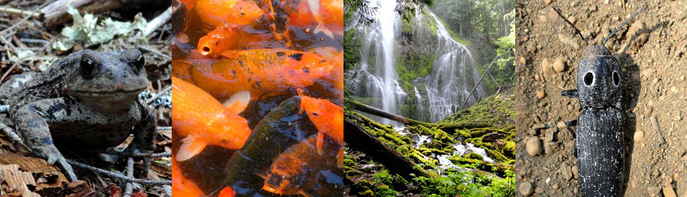 Shit You Didn't Know About Biology