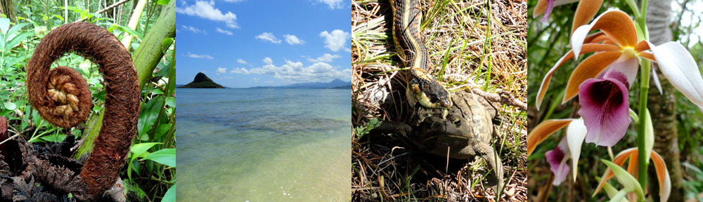 Shit You Didn't Know About Biology